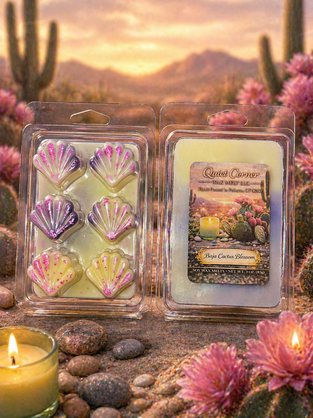 Baja Cactus Blossom